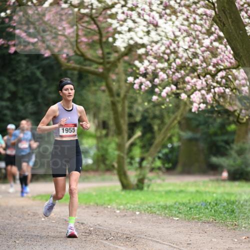 13.04.2025 - Hammer Lauf Dr. Thomas Lammeyer http://msf.ph/oto/7637098 13.04.2025 10:06:21 Laufen 1955 meine-sportfotos.de