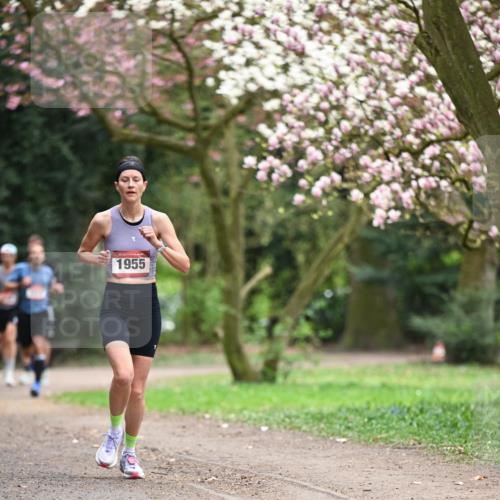 13.04.2025 - Hammer Lauf Dr. Thomas Lammeyer http://msf.ph/oto/7637105 13.04.2025 10:06:21 Laufen 1955 meine-sportfotos.de