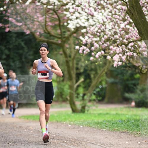 13.04.2025 - Hammer Lauf Dr. Thomas Lammeyer http://msf.ph/oto/7637112 13.04.2025 10:06:21 Laufen 1955 meine-sportfotos.de