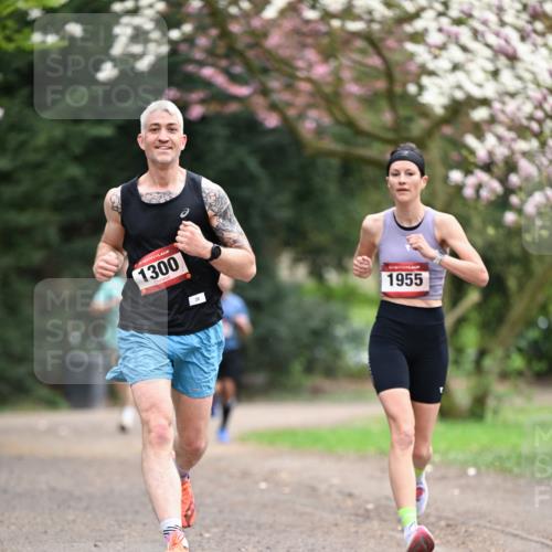 13.04.2025 - Hammer Lauf Dr. Thomas Lammeyer http://msf.ph/oto/7637117 13.04.2025 10:06:22 Laufen 1300, 26, 1955 meine-sportfotos.de
