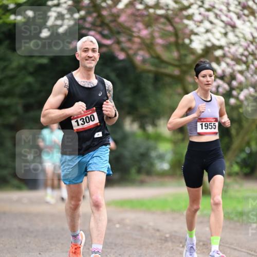 13.04.2025 - Hammer Lauf Dr. Thomas Lammeyer http://msf.ph/oto/7637132 13.04.2025 10:06:22 Laufen 15, 1300, 26, 1955 meine-sportfotos.de