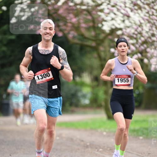 13.04.2025 - Hammer Lauf Dr. Thomas Lammeyer http://msf.ph/oto/7637148 13.04.2025 10:06:22 Laufen 15, 1300, 26, 1955 meine-sportfotos.de