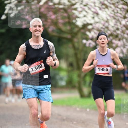 13.04.2025 - Hammer Lauf Dr. Thomas Lammeyer http://msf.ph/oto/7637161 13.04.2025 10:06:23 Laufen 15, 1300, 26, 1955 meine-sportfotos.de