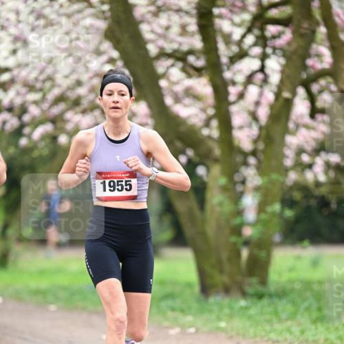 13.04.2025 - Hammer Lauf Dr. Thomas Lammeyer http://msf.ph/oto/7637173 13.04.2025 10:06:23 Laufen 15, 1955 meine-sportfotos.de