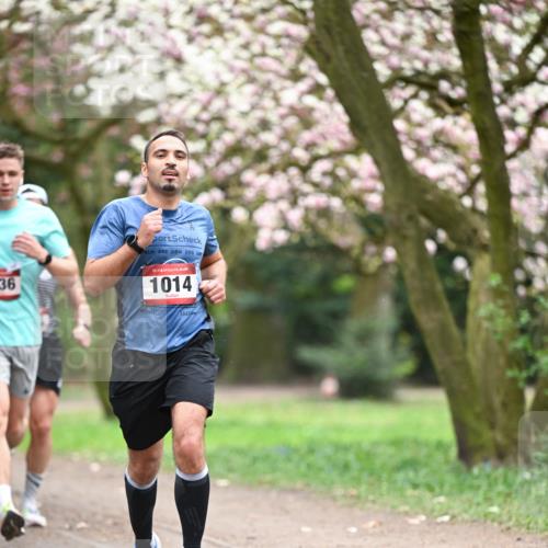13.04.2025 - Hammer Lauf Dr. Thomas Lammeyer http://msf.ph/oto/7637305 13.04.2025 10:06:29 Laufen 36, 15, 1014 meine-sportfotos.de