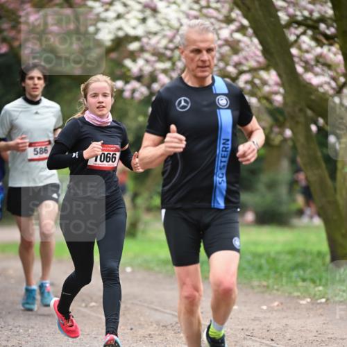 13.04.2025 - Hammer Lauf Dr. Thomas Lammeyer http://msf.ph/oto/7637466 13.04.2025 10:06:38 Laufen 586, 066 meine-sportfotos.de