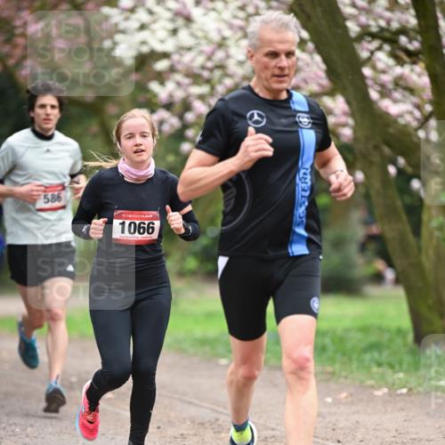 13.04.2025 - Hammer Lauf Dr. Thomas Lammeyer http://msf.ph/oto/7637472 13.04.2025 10:06:38 Laufen 586, 15, 1066 meine-sportfotos.de