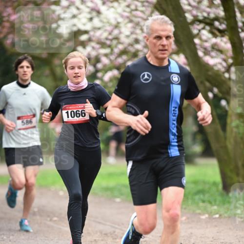 13.04.2025 - Hammer Lauf Dr. Thomas Lammeyer http://msf.ph/oto/7637478 13.04.2025 10:06:38 Laufen 586, 15, 1066 meine-sportfotos.de
