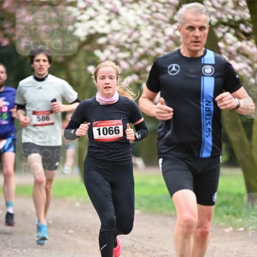 13.04.2025 - Hammer Lauf Dr. Thomas Lammeyer http://msf.ph/oto/7637485 13.04.2025 10:06:38 Laufen 586, 15, 1066 meine-sportfotos.de