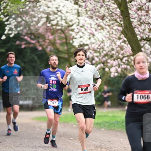 13.04.2025 - Hammer Lauf Dr. Thomas Lammeyer http://msf.ph/oto/7637493 13.04.2025 10:06:39 Laufen 20, 25, 717840, 15, 586, 747, 1066 meine-sportfotos.de