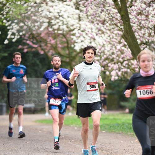 13.04.2025 - Hammer Lauf Dr. Thomas Lammeyer http://msf.ph/oto/7637499 13.04.2025 10:06:39 Laufen 747, 15, 586, 1066 meine-sportfotos.de
