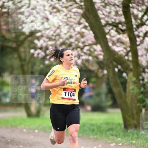 13.04.2025 - Hammer Lauf Dr. Thomas Lammeyer http://msf.ph/oto/7638121 13.04.2025 10:07:08 Laufen 15, 1104 meine-sportfotos.de