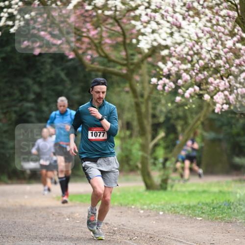13.04.2025 - Hammer Lauf Dr. Thomas Lammeyer http://msf.ph/oto/7638136 13.04.2025 10:07:09 Laufen 1077 meine-sportfotos.de
