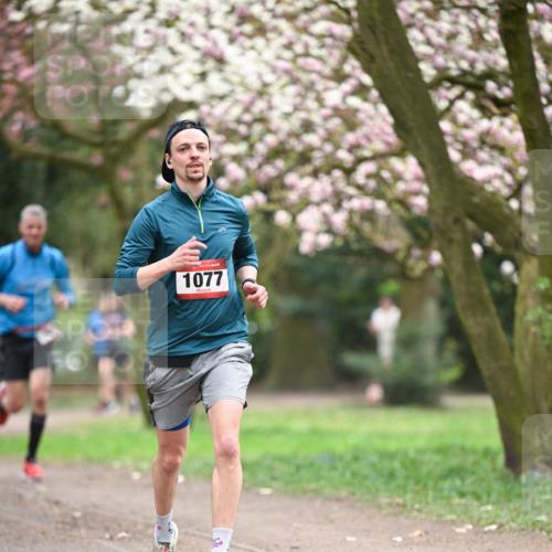 13.04.2025 - Hammer Lauf Dr. Thomas Lammeyer http://msf.ph/oto/7638176 13.04.2025 10:07:10 Laufen 1077 meine-sportfotos.de