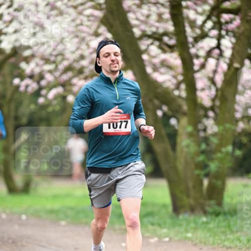 13.04.2025 - Hammer Lauf Dr. Thomas Lammeyer http://msf.ph/oto/7638217 13.04.2025 10:07:11 Laufen 077 meine-sportfotos.de
