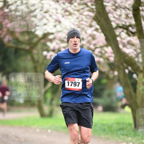 13.04.2025 - Hammer Lauf Dr. Thomas Lammeyer http://msf.ph/oto/7638474 13.04.2025 10:07:21 Laufen 15, 40, 1797 meine-sportfotos.de