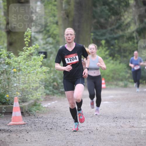 13.04.2025 - Hammer Lauf Jannik Wohlers http://msf.ph/oto/7638475 13.04.2025 10:09:44 Laufen 15, 1204, 218, 1904 meine-sportfotos.de