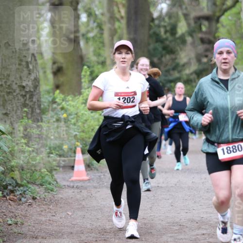 13.04.2025 - Hammer Lauf Jannik Wohlers http://msf.ph/oto/7638523 13.04.2025 12:46:10 Laufen 15, 1202, 1880 meine-sportfotos.de