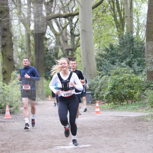 13.04.2025 - Hammer Lauf Jannik Wohlers http://msf.ph/oto/7638690 13.04.2025 10:09:32 Laufen 520, 1097 meine-sportfotos.de
