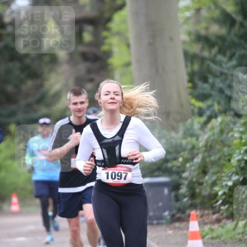 13.04.2025 - Hammer Lauf Jannik Wohlers http://msf.ph/oto/7638731 13.04.2025 10:09:31 Laufen 520, 15, 1097 meine-sportfotos.de
