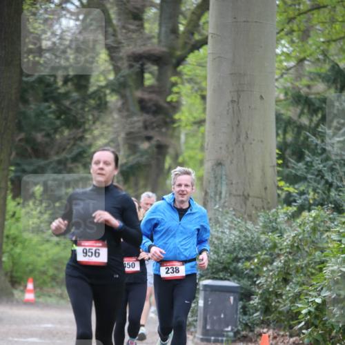 13.04.2025 - Hammer Lauf Jannik Wohlers http://msf.ph/oto/7638834 13.04.2025 10:09:21 Laufen 956, 150, 238 meine-sportfotos.de