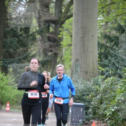13.04.2025 - Hammer Lauf Jannik Wohlers http://msf.ph/oto/7638842 13.04.2025 10:09:21 Laufen 956, 50, 238 meine-sportfotos.de