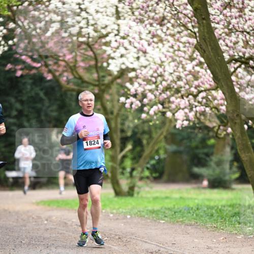 13.04.2025 - Hammer Lauf Dr. Thomas Lammeyer http://msf.ph/oto/7639496 13.04.2025 10:08:32 Laufen 1824 meine-sportfotos.de