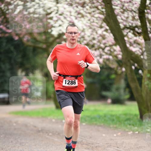 13.04.2025 - Hammer Lauf Dr. Thomas Lammeyer http://msf.ph/oto/7639914 13.04.2025 10:08:58 Laufen 1286 meine-sportfotos.de