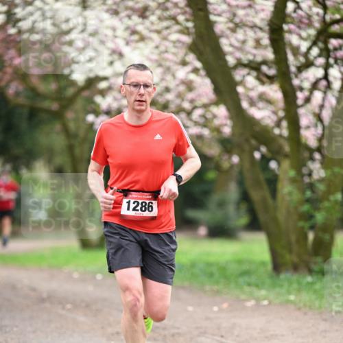 13.04.2025 - Hammer Lauf Dr. Thomas Lammeyer http://msf.ph/oto/7639928 13.04.2025 10:08:58 Laufen 1286 meine-sportfotos.de