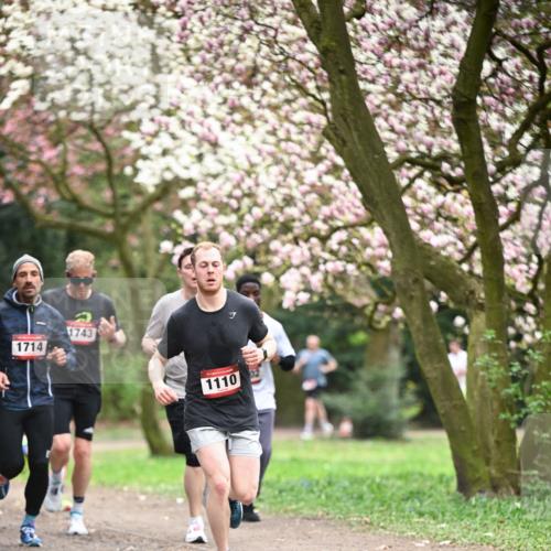 13.04.2025 - Hammer Lauf Dr. Thomas Lammeyer http://msf.ph/oto/7640240 13.04.2025 10:09:20 Laufen 1714, 1743, 1110 meine-sportfotos.de