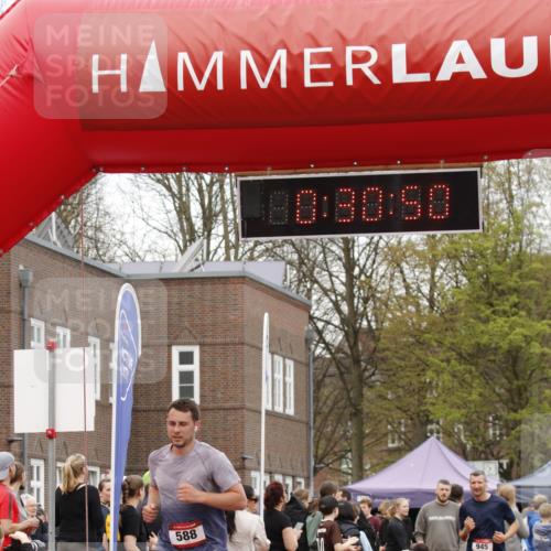 13.04.2025 - Hammer Lauf A. Gomolzig http://msf.ph/oto/7640889 13.04.2025 11:30:49 Ziel 588, 945 meine-sportfotos.de