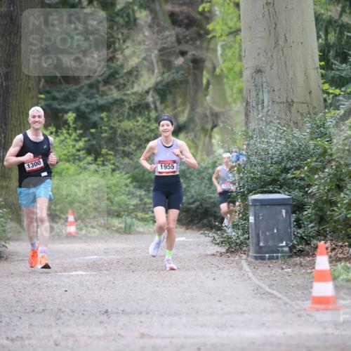 13.04.2025 - Hammer Lauf Jannik Wohlers http://msf.ph/oto/7640945 13.04.2025 10:05:17 Laufen 1300, 1955 meine-sportfotos.de