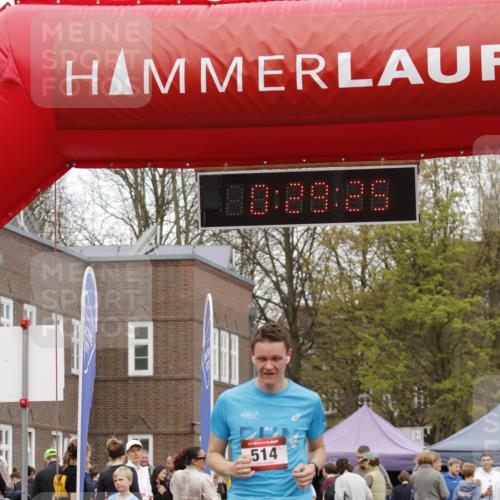 13.04.2025 - Hammer Lauf A. Gomolzig http://msf.ph/oto/7641044 13.04.2025 11:29:23 Ziel 514 meine-sportfotos.de