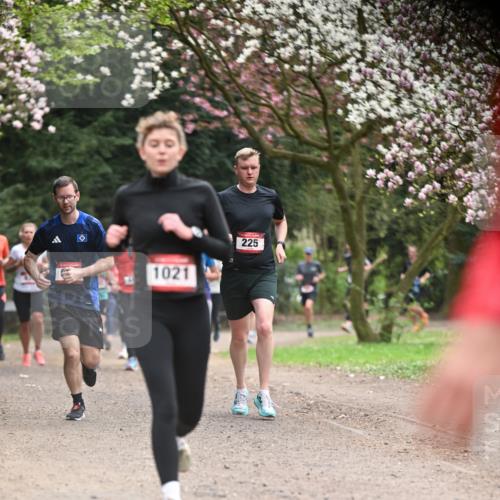13.04.2025 - Hammer Lauf Dr. Thomas Lammeyer http://msf.ph/oto/7641105 13.04.2025 10:09:58 Laufen 1021, 225 meine-sportfotos.de