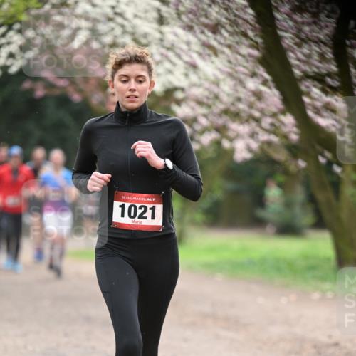 13.04.2025 - Hammer Lauf Dr. Thomas Lammeyer http://msf.ph/oto/7641147 13.04.2025 10:09:59 Laufen 15, 1021 meine-sportfotos.de