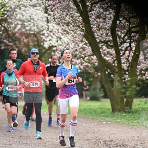 13.04.2025 - Hammer Lauf Dr. Thomas Lammeyer http://msf.ph/oto/7641222 13.04.2025 10:10:04 Laufen 648, 1903, 824, 20 meine-sportfotos.de