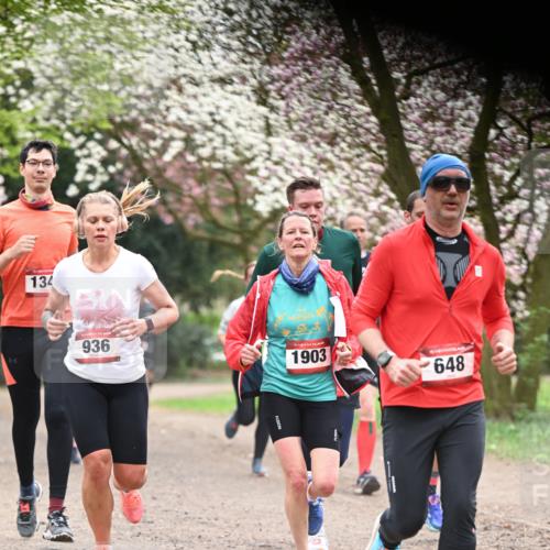 13.04.2025 - Hammer Lauf Dr. Thomas Lammeyer http://msf.ph/oto/7641265 13.04.2025 10:10:06 Laufen 134, 936, 15, 1903, 648 meine-sportfotos.de