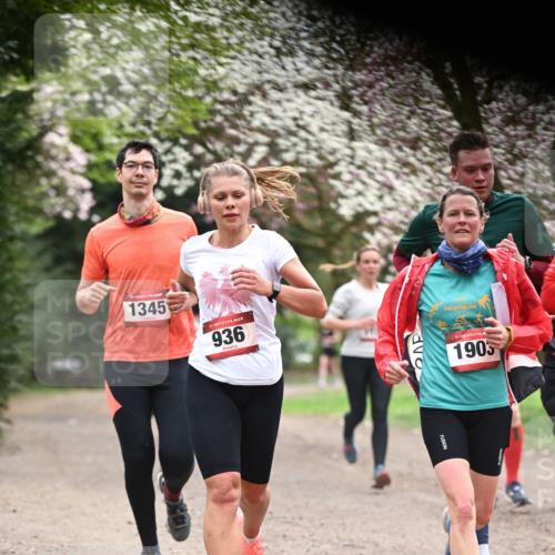 13.04.2025 - Hammer Lauf Dr. Thomas Lammeyer http://msf.ph/oto/7641273 13.04.2025 10:10:07 Laufen 14, 1345, 936, 15, 1903 meine-sportfotos.de