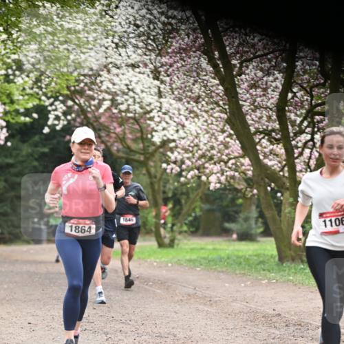 13.04.2025 - Hammer Lauf Dr. Thomas Lammeyer http://msf.ph/oto/7641302 13.04.2025 10:10:09 Laufen 1864, 1849, 1106 meine-sportfotos.de