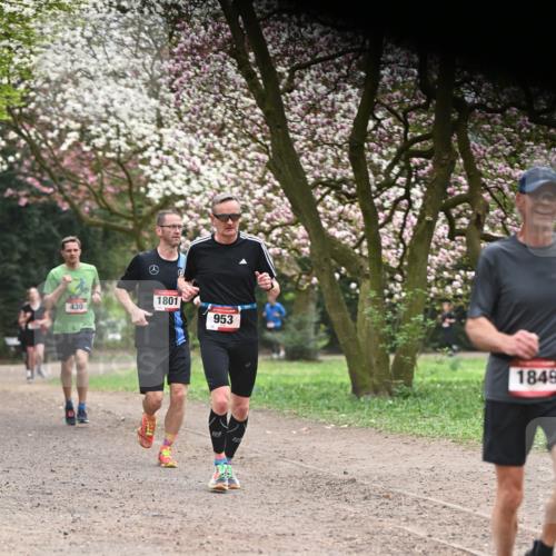 13.04.2025 - Hammer Lauf Dr. Thomas Lammeyer http://msf.ph/oto/7641349 13.04.2025 10:10:13 Laufen 430, 1801, 953, 1849 meine-sportfotos.de