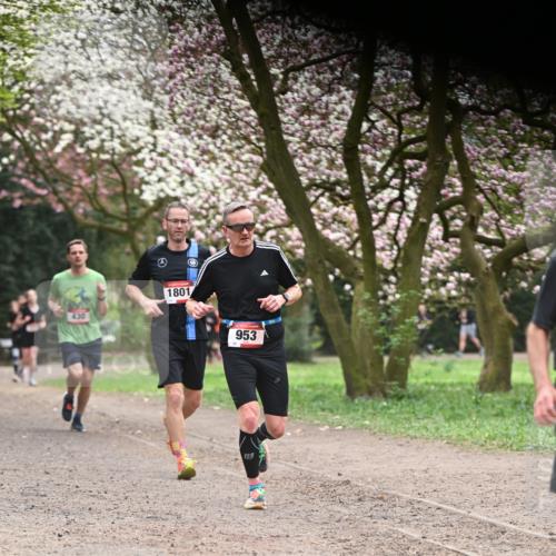 13.04.2025 - Hammer Lauf Dr. Thomas Lammeyer http://msf.ph/oto/7641355 13.04.2025 10:10:13 Laufen 430, 1801, 72, 953 meine-sportfotos.de
