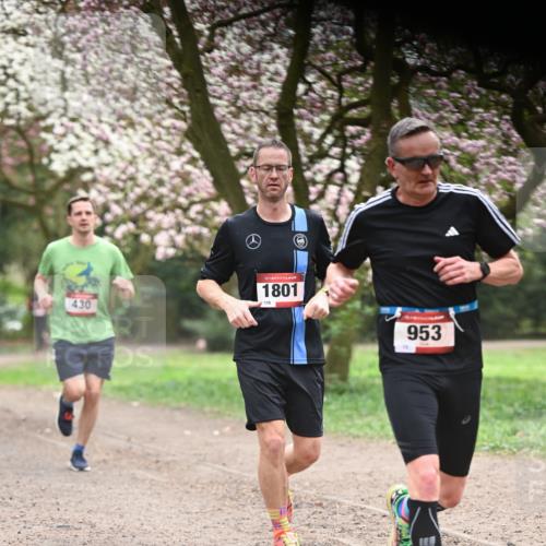 13.04.2025 - Hammer Lauf Dr. Thomas Lammeyer http://msf.ph/oto/7641372 13.04.2025 10:10:15 Laufen 430, 15, 1801, 110, 953 meine-sportfotos.de