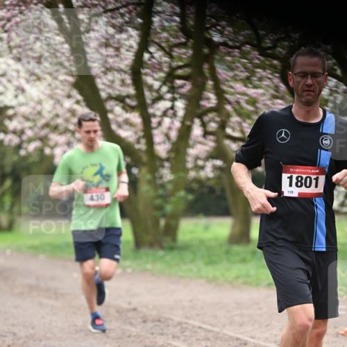 13.04.2025 - Hammer Lauf Dr. Thomas Lammeyer http://msf.ph/oto/7641379 13.04.2025 10:10:16 Laufen 430, 15, 1801, 110 meine-sportfotos.de
