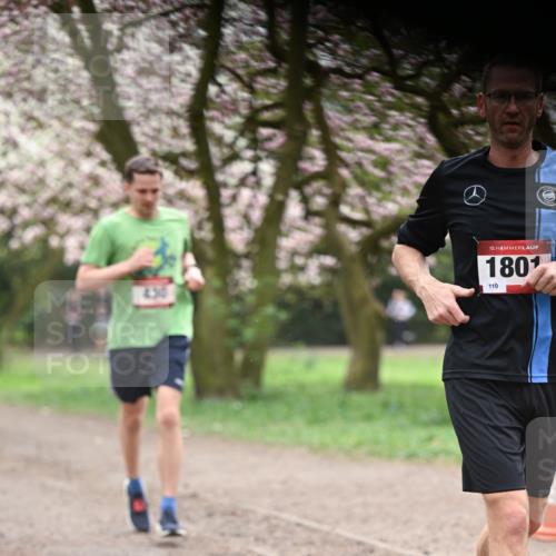 13.04.2025 - Hammer Lauf Dr. Thomas Lammeyer http://msf.ph/oto/7641383 13.04.2025 10:10:16 Laufen 430, 15, 1801, 110 meine-sportfotos.de