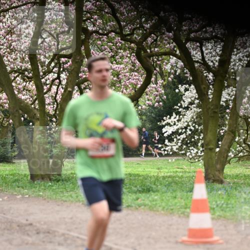 13.04.2025 - Hammer Lauf Dr. Thomas Lammeyer http://msf.ph/oto/7641403 13.04.2025 10:10:17 Laufen 757 meine-sportfotos.de