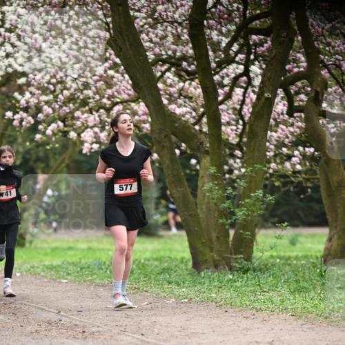 13.04.2025 - Hammer Lauf Dr. Thomas Lammeyer http://msf.ph/oto/7641430 13.04.2025 10:10:21 Laufen 41, 577 meine-sportfotos.de