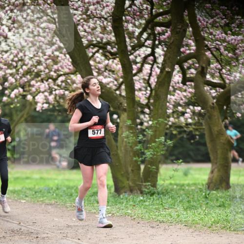 13.04.2025 - Hammer Lauf Dr. Thomas Lammeyer http://msf.ph/oto/7641445 13.04.2025 10:10:21 Laufen 15, 577 meine-sportfotos.de