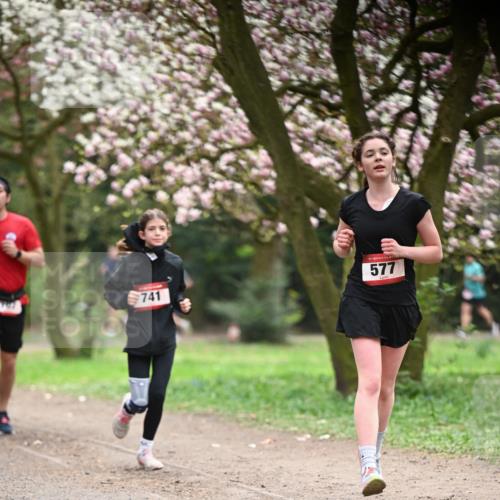 13.04.2025 - Hammer Lauf Dr. Thomas Lammeyer http://msf.ph/oto/7641448 13.04.2025 10:10:22 Laufen 741, 577 meine-sportfotos.de
