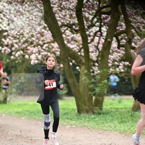 13.04.2025 - Hammer Lauf Dr. Thomas Lammeyer http://msf.ph/oto/7641473 13.04.2025 10:10:23 Laufen 41 meine-sportfotos.de
