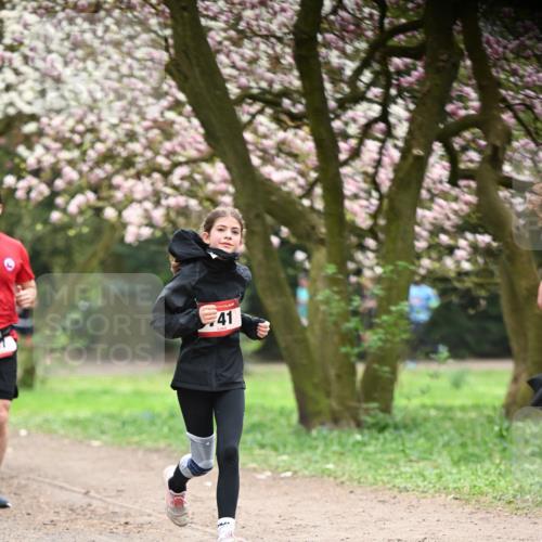 13.04.2025 - Hammer Lauf Dr. Thomas Lammeyer http://msf.ph/oto/7641476 13.04.2025 10:10:23 Laufen 41 meine-sportfotos.de